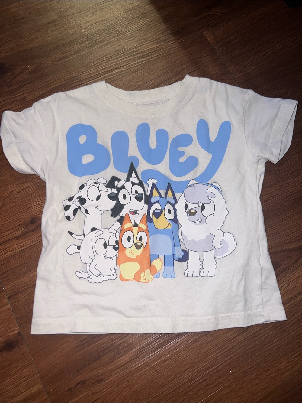 Bluey Character Graphic Kids Tee - White/Blue